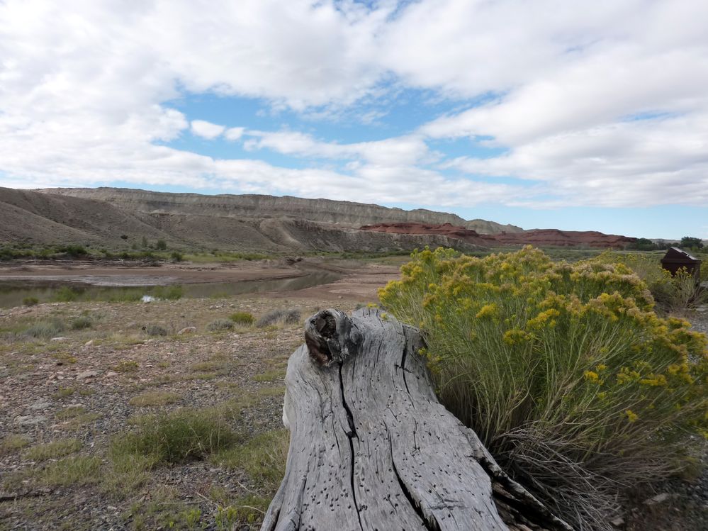 Big horn N.P_08.JPG